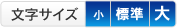 文字サイズ